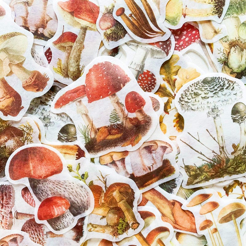 Doraking 60PCS Mushroom Laptop Stickers Decals, Doraking DIY Mushroom Plants Decoration Stickers Decals for Windows, Refrigerator, Decoration (Mushroom Collection, 60PCS/Pack) - Image 5